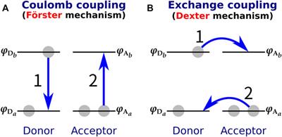 Electronic Couplings and Electrostatic Interactions Behind the Light Absorption of Retinal Proteins